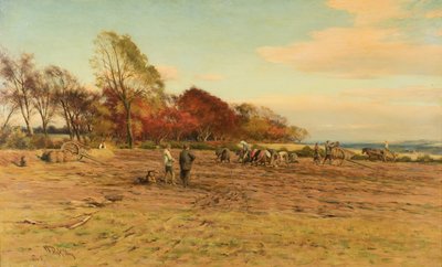 Patates Toplama by William Darling McKay