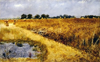 Mısır Tarlası (gemide yağ) by William Davis