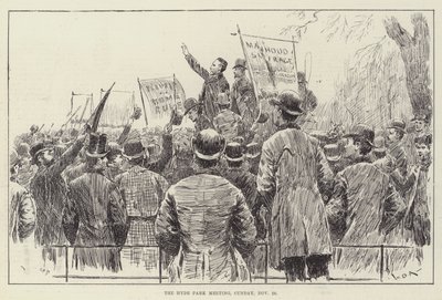 Hyde Park Toplantısı, 20 Kasım Pazar by William Douglas Almond