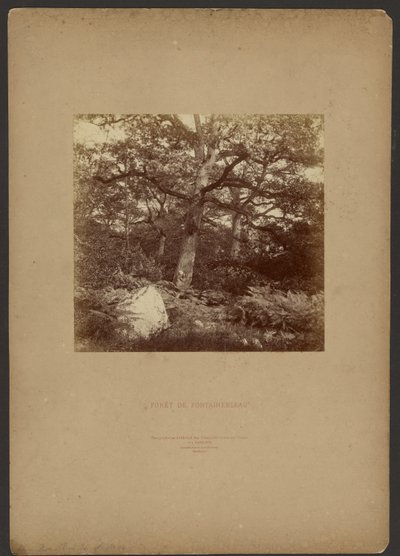  by William Drooke Harrison