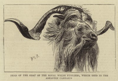 Ashantee Kampanyasında ölen Kraliyet Galler Piyadelerinin Keçisi Başkanı by William Edward Atkins