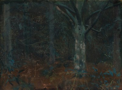 Eski Çınar by William Edward Stott