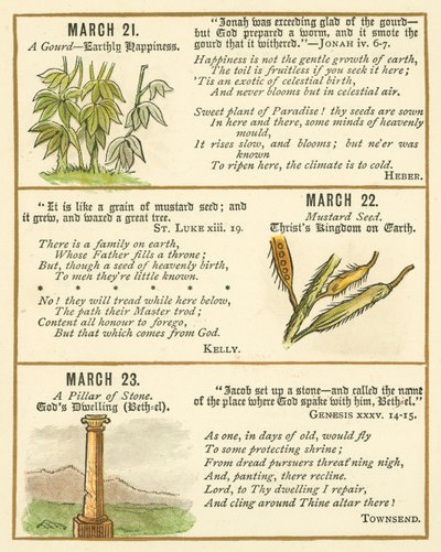  by William Foster