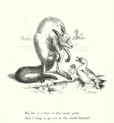 Ördek ve Kanguru (gravür) by William Foster