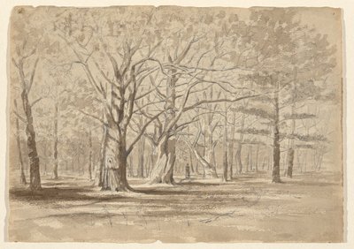 Kolej Ormanı by William Fowler Hopson