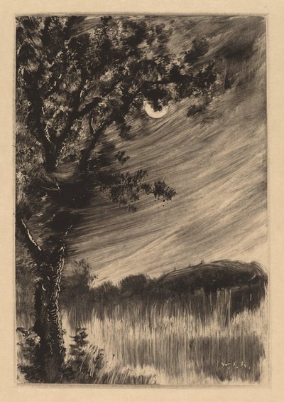 Soldaki Ağaç ile Mehtaplı Manzara by William Fowler Hopson