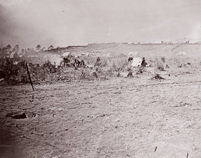 Fort Brady