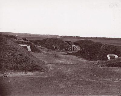 Darling Kalesi, James Nehri, 1865. by William Frank Browne.
