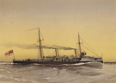 HMS Speedwell, torpido savaş gemisi by William Frederick Mitchell