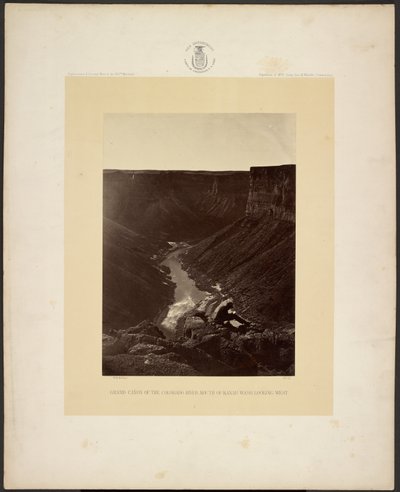 Colorado Nehri Büyük Kanyonu, Kanab Yıkaması Ağzı, Batıya Bakış by William H. Bell