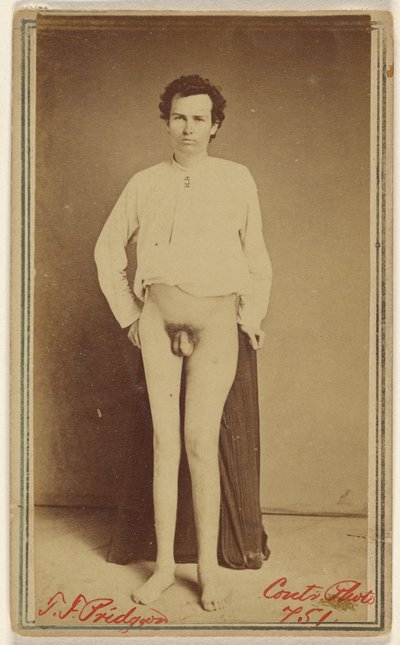 T.F. Pridgeon [İç Savaş kurbanı] by William H. Bell