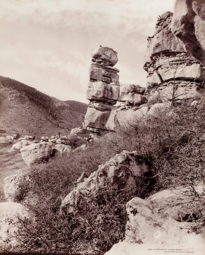  by William H. Jackson