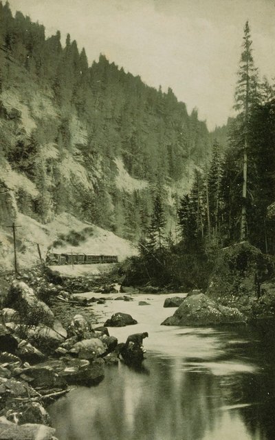  by William H. Jackson
