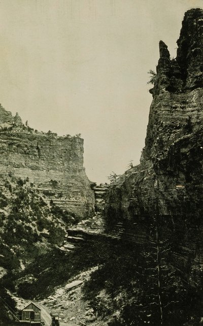  by William H. Jackson