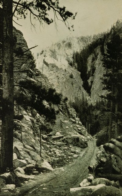  by William H. Jackson