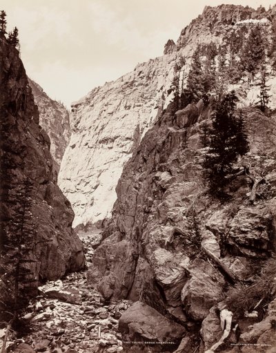  by William H. Jackson