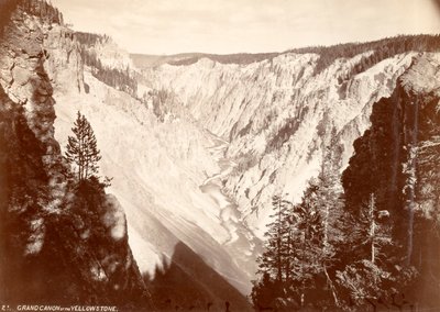  by William H. Jackson
