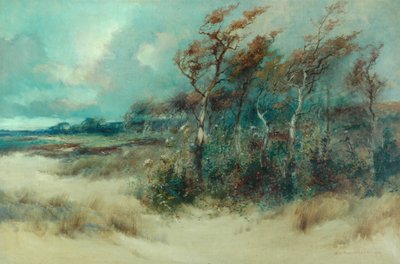 Sandy Lane
