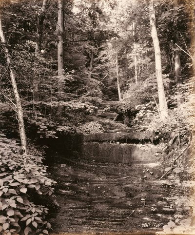 Owasco Gölü, Cascade Glen, Lehigh Valley Demiryolu için by William H. Rau