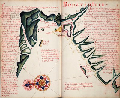Bonaventure by William Hack