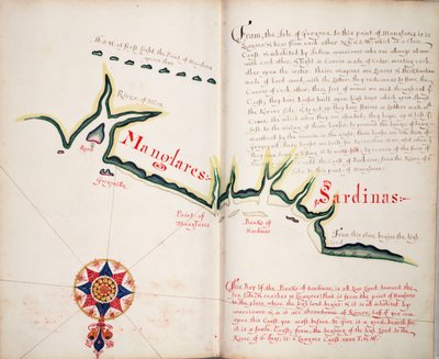 Manglares, Ancon de Sardinas Körfezi by William Hack