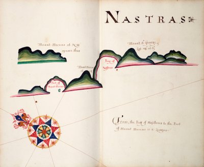 Nastras, Güney Amerika Pasifik kıyısı by William Hack