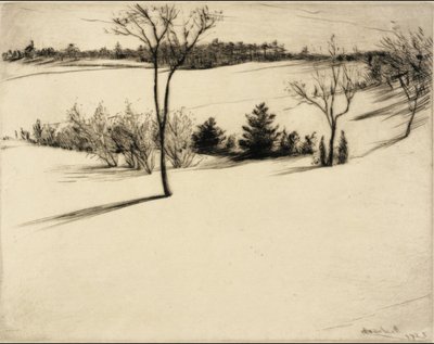  by William Harry Warren Bicknell