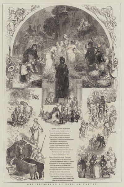 Hasat by William Harvey