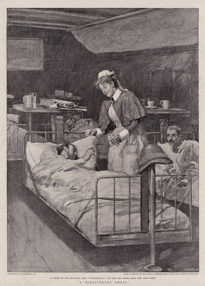 Bir Bakan Melek by William Hatherell