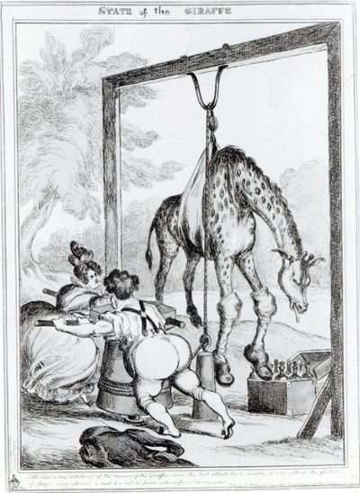 Zürafanın Durumu, 1829 by William Heath