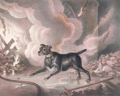 ಲಂಡನ್ ಫೈರ್‌ಮ್ಯಾನ್ಸ್ ಡಾಗ್ ಟರ್ಕ್ by William Heath