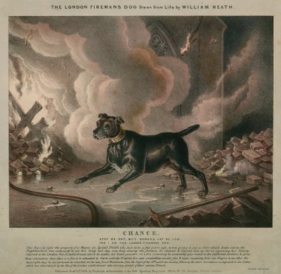 Londra itfaiyecisinin köpeği by William Heath