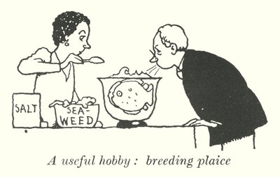 Yararlı bir hobi, üreme pisliği (lito) by William Heath Robinson