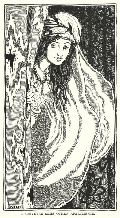 Diğer bazı daireleri araştırdım (gravür) by William Heath Robinson