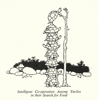 Yiyecek Aramalarında Kaplumbağalar Arasında Akıllı İşbirliği (lito) by William Heath Robinson