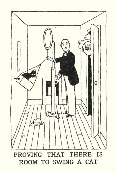 Bir Kediyi Sallamak İçin Yer Olduğunu Kanıtlamak (lito) by William Heath Robinson