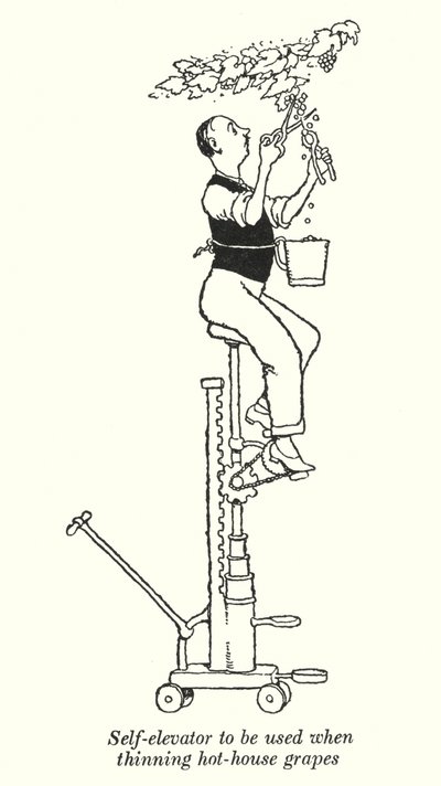Sera üzümlerinin (litho) inceltilmesinde kullanılacak asansör by William Heath Robinson
