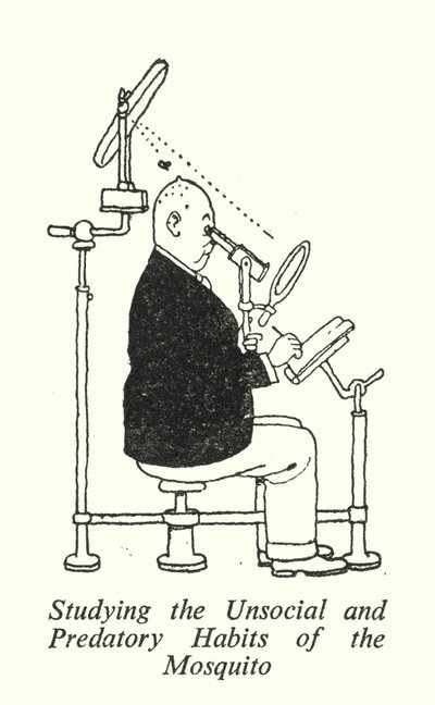 Sivrisineklerin Sosyal Olmayan ve Yırtıcı Alışkanlıklarının İncelenmesi (lito) by William Heath Robinson