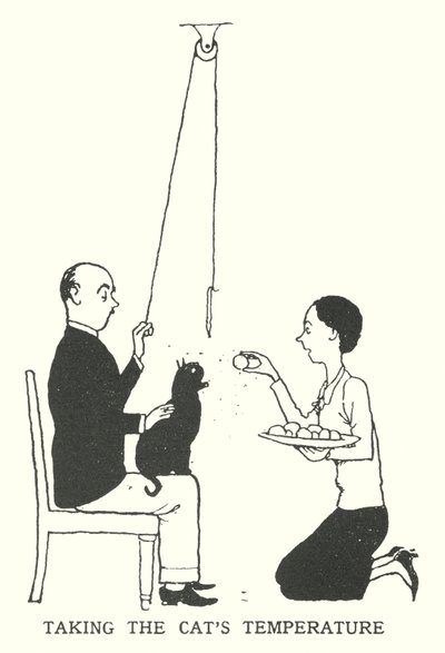 Kedinin Sıcaklığını Almak (lito) by William Heath Robinson