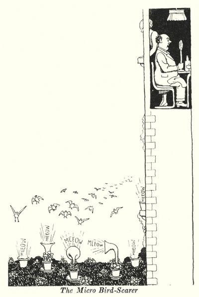 Mikro Kuş Korkutucu (lito) by William Heath Robinson