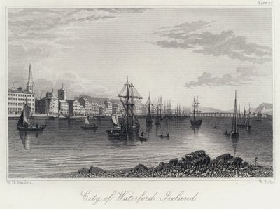 Waterford Şehri, İrlanda (gravür) by William Henry Bartlett