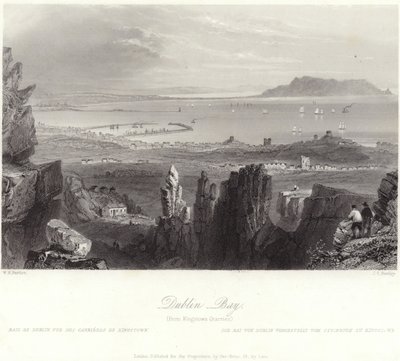 Dublin Bay from Kingstown Quarries  by William Henry Bartlett
