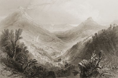 Downs Glen, County Wicklow, İrlanda, George Virtue, 1860