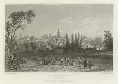 ಹಾಲ್ಸ್ಟೆಡ್, ಎಸೆಕ್ಸ್ ಟರ್ಕ್ by William Henry Bartlett