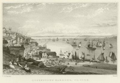 Queenstown limanı by William Henry Bartlett