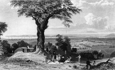 Horndon, Essex yakınlarındaki Laindon Tepesi