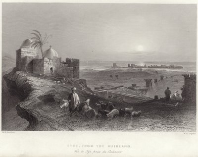 anakaradan gelen lastik by William Henry Bartlett
