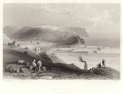 Whitehaven, (Aziz Arı kafalı) by William Henry Bartlett