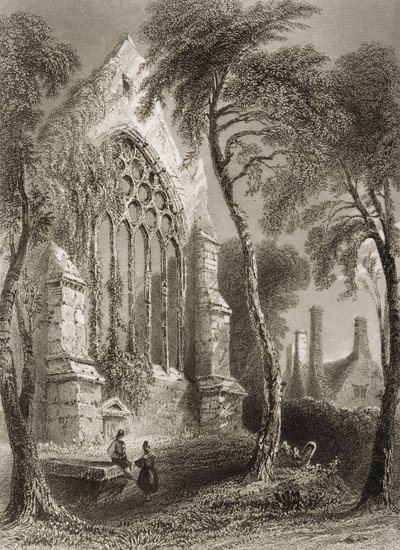 Youghal Manastırı, County Cork, İrlanda, George Virtue, 1860