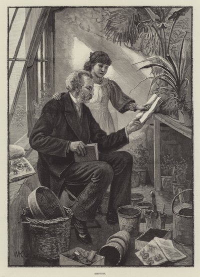 tohum zamanı by William Henry Charles Groome